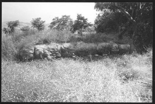 Remains of David Sullivan's pise hut, Chisholm