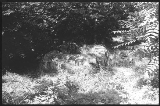 Remains of Sarsfield Gallaghers' houses' fireplace