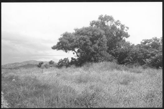 Location photo of Sullivan's hut