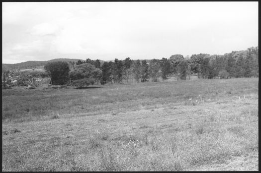 Site of Martin Pike's farm looking north east from Ashley Drive, Richardson