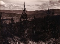A distant view of Mt. Stromlo showing pine trees in the foreground