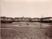 Telopea Park School