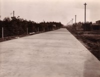 A stretch of road with concrete paving. The location is thought to be Wentworth Avenue in Kingston.