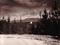 Looking south west with Mount Stromlo Observatory in the middle distance and the Tidbinbilla Mountains in the background and pine trees in the foreground