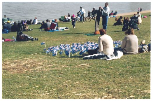 Photo shows people sitting on the grass at the edge of Lake Burley Griffin.