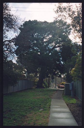 Site of Springvale homestead between Redfern and Biffin Streets, Cook