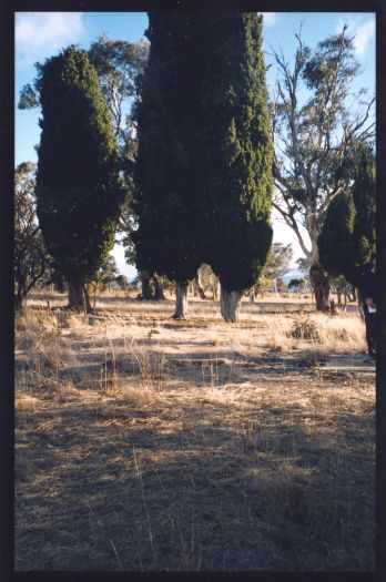 Charnwood Homestead site