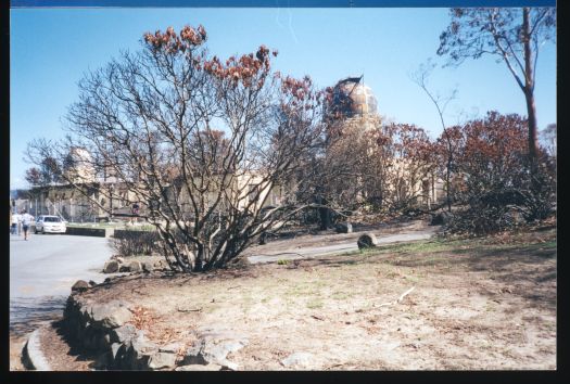 Bush fire damage to buildings, trees, and surrounding landscape, Mt Stromlo

   

