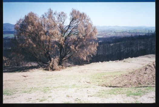 A view of burnt out area
