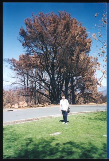 Judith Stubbs on lawn with burnt trees in the background