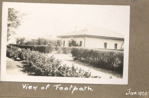 View of front footpath, with hedges growing in front of homes