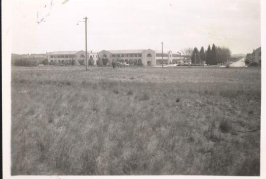 Looking across a paddock to Civic Centre