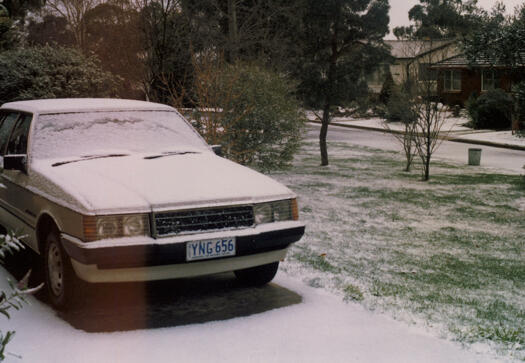 Five photographs showing snow on trees and a car at 10 Cobby Street, Campbell