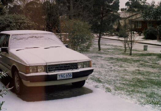 Snow at Campbell