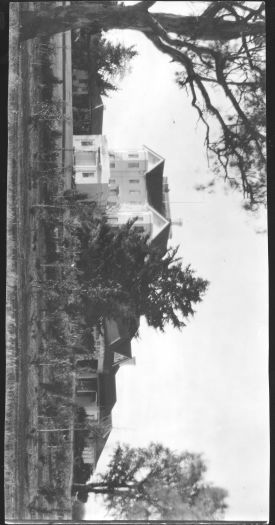 View across the gardens to Government House showing the deodar
