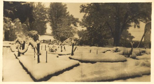 Gardens under inches of snow