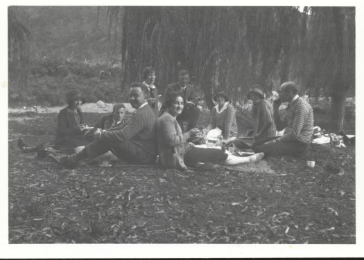 Group picnic at Naas