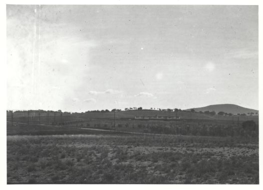 A distant view of Telopea Park School