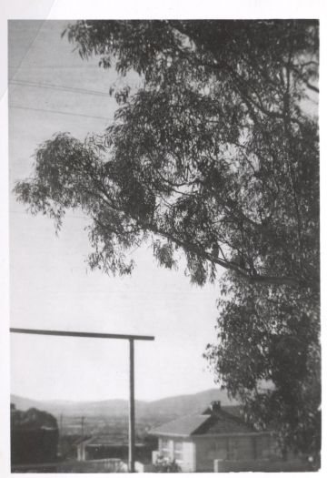 A view of a Canberra House