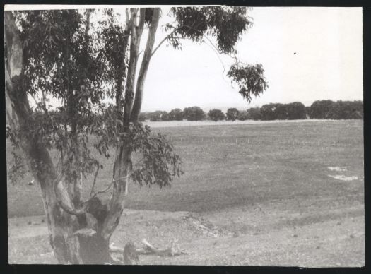 Looking up to Mt Ainslie from old racecourse at Acton