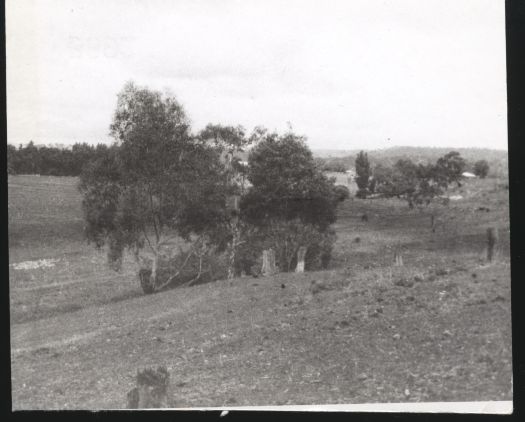 Looking from Mount Ainslie across the plains