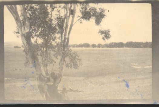 Looking across open ground with a tree in the foreground