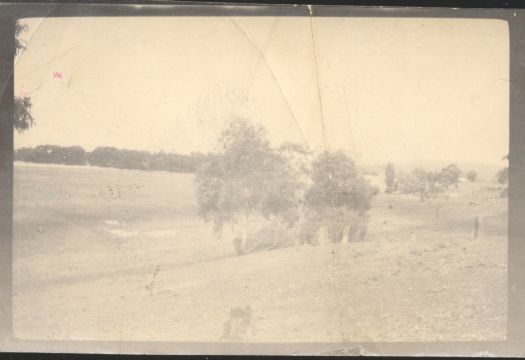 Looking across open ground with a tree in the foreground. Site unknown.