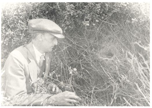 Gregory Mathews with a nest of Sphenura Broadbenti