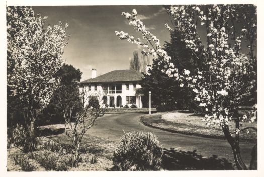 Blossoming trees and driveway to the Prime Minister's Lodge