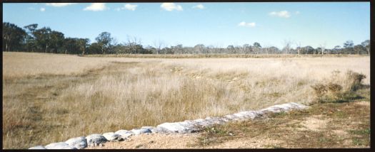 Levy on Ginninderra Creek