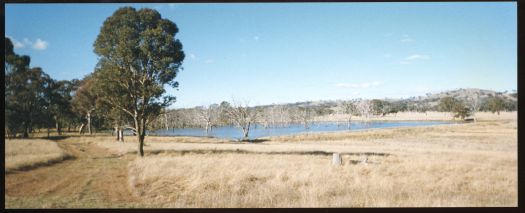 Mulligans Flat dam looking to the east. A mown track is on the left.