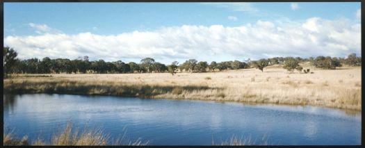 Small dam on Mulligans Flat looking towards Inglewood and Dungarvon.