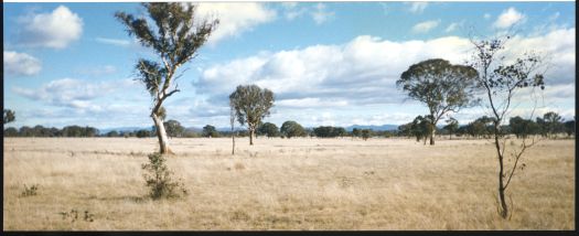 View south west towards Inglewood from near Dungarvon.