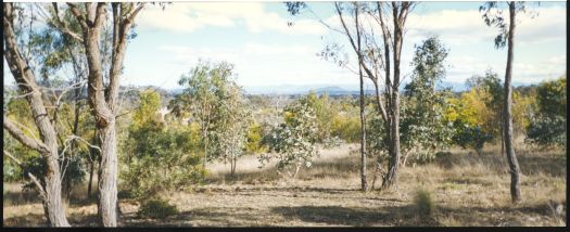 View south from the NSW border at Mulligans Flat.