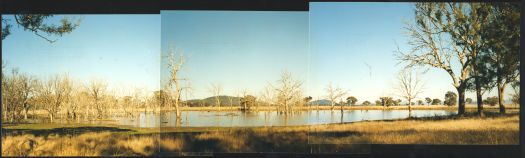 Dam on Ginninderra Creek at Mulligans Flat reserve