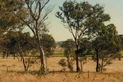 Taken from near the south western corner of Mulligans Flat Reserve. Cavanagh's Hut is in the middle. Area in between was developed as Forde and Yerrabi.