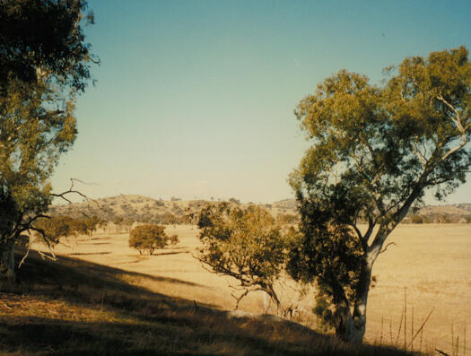 View towards proposed suburb of Throsby