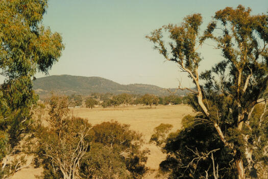 South side of ridge at Mulligans Flat looking south east to Mt Majura. Gungaderra homestead is in the mid distance.