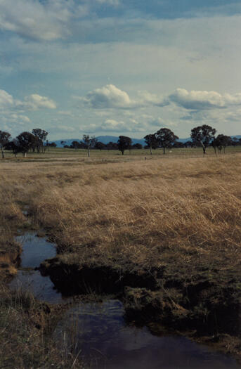 Ginninderra Creek near dam levy, southern end of Mulligans Flat Reserve.