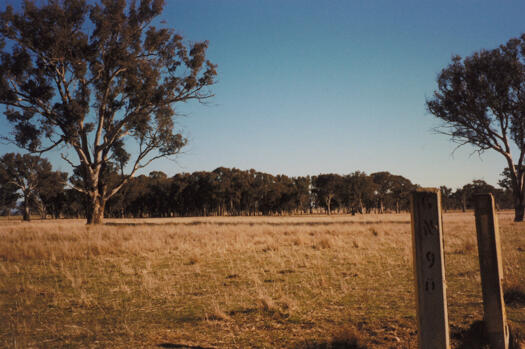 View south from benchmark GN90, Mulligans Flat