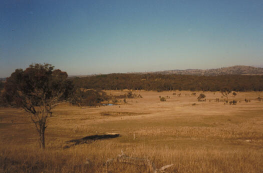 Mulligans Flat Reserve, north of Gundaroo Road, from the slopes of Oak Hill