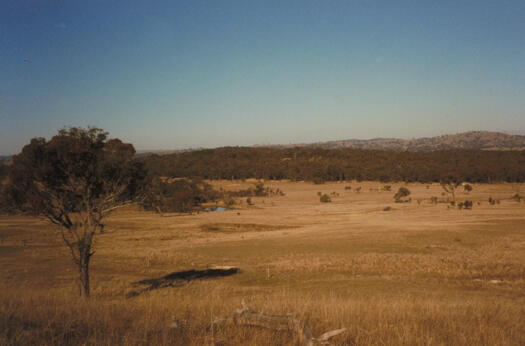 Mulligans Flat Reserve (north)