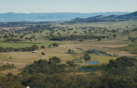 Elm Grove homestead from Oak Hill