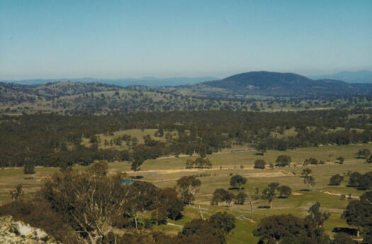 View from southern slopes of Oak Hill to Mulligans Flat. Mt Majura is visible in the distance. The old Gundaroo Road runs through the middle of the photo.