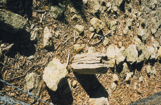 Remnant border marker, Oak Hill