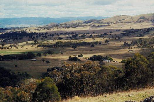 Elm Grove from Oak Hill