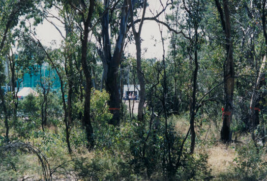 GDE route on Bruce Ridge near the Australian Institute of Sport athletics track