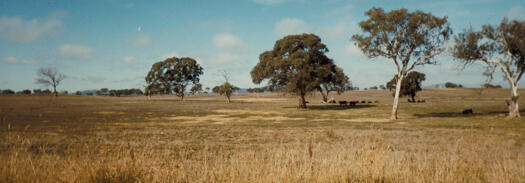 Gungahlin Town Centre site