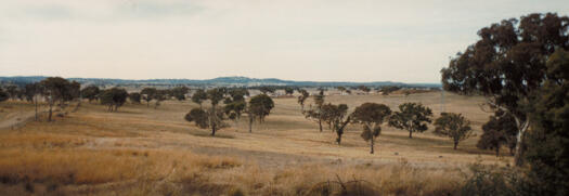 View from Gungahlin Hill over CSIRO paddocks towards Palmerston, the Gungahlin Town Centre and Oak Hill in the distance. The paddocks are the site of the suburb of Crace.