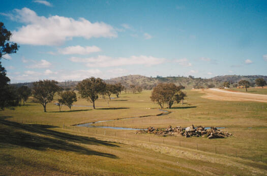 Mulligans Flat Reserve showing Ginninderra Creek. Horse Park Drive is under construction at right.